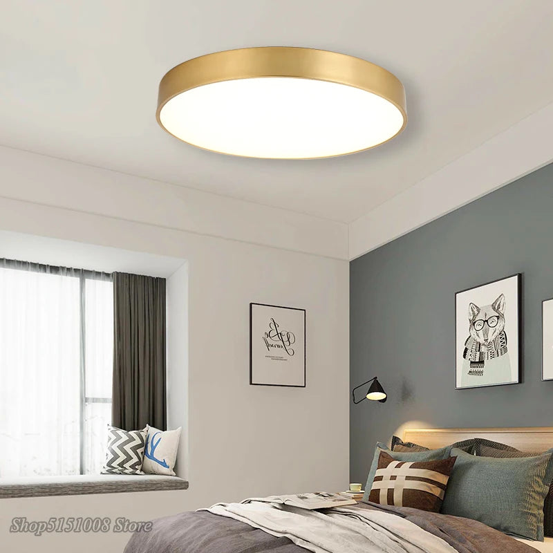 Modern Gold Acrylic Ceiling Light - Ultra-thin Surface LED Ceiling Lamp for Living Room, Nordic Bedroom Indoor Light Fixtures