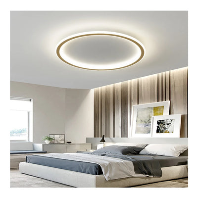 Etincelle Hanging Ceiling Lamps Modern Dining Room - Indoor Fixtures for Hallway Decoration, Hotel Furniture