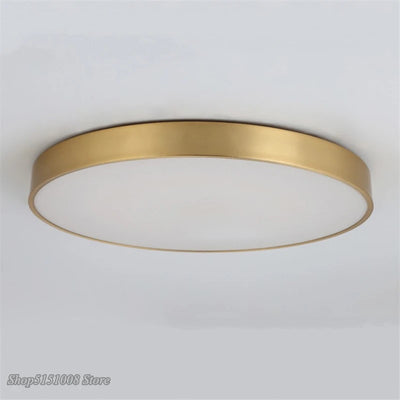 Modern Gold Acrylic Ceiling Light - Ultra-thin Surface LED Ceiling Lamp for Living Room, Nordic Bedroom Indoor Light Fixtures