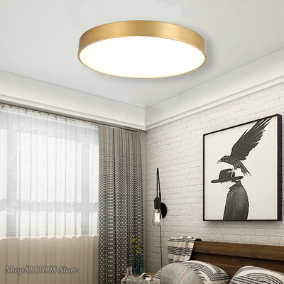 Modern Gold Acrylic Ceiling Light - Ultra-thin Surface LED Ceiling Lamp for Living Room, Nordic Bedroom Indoor Light Fixtures