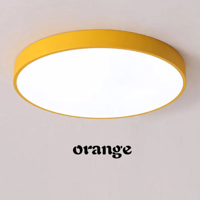 Modern LED Ceiling Light