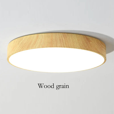 Modern LED Ceiling Light