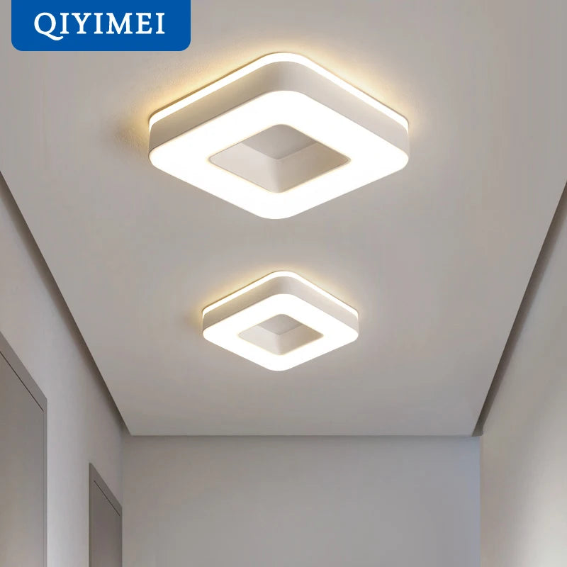 Modern Style LED Ceiling Light - Art Gallery, Balcony, and Corridor Decoration - White and Black