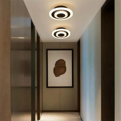 Modern LED Ceiling Light