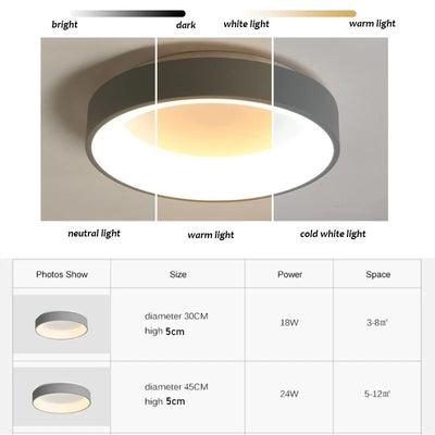 Nordic LED Round Ceiling Light