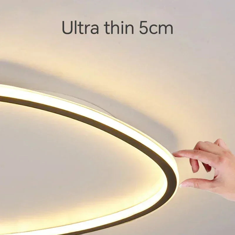 Modern LED Ceiling Lamp - Elegant Oval Design for Versatile Indoor Lighting