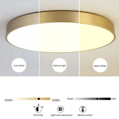 Modern LED Ceiling Light Lamp - Simple Golden Round