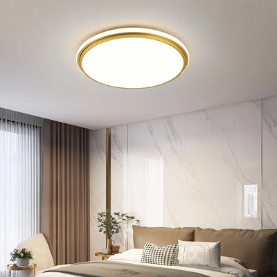 Nordic LED Golden Ceiling Light - Stylish Illumination for Living Room, Bedroom, Kitchen