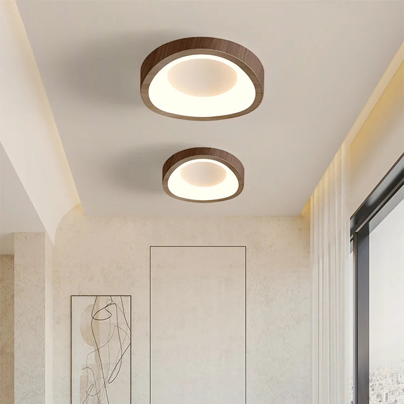 Nordic LED Ceiling Lamp