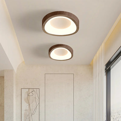 Nordic LED Ceiling Lamp