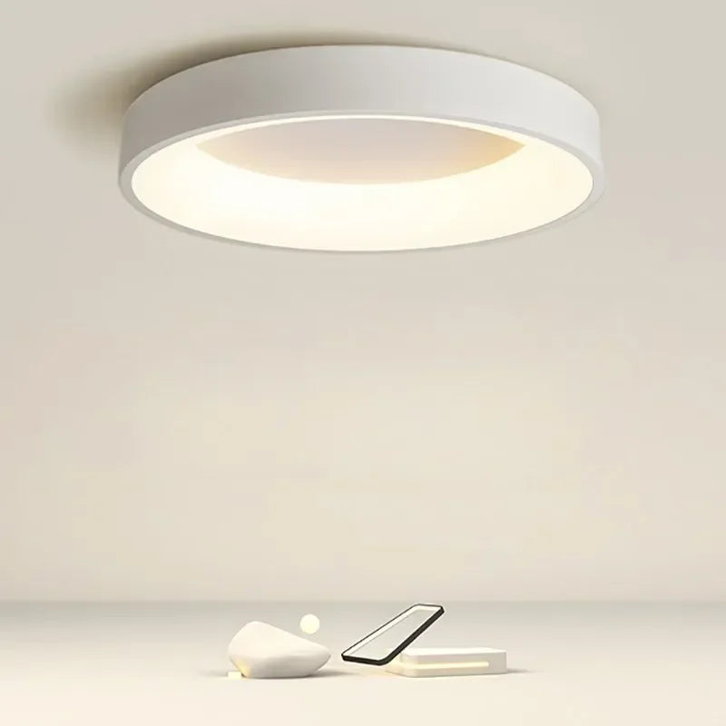 Nordic LED Round Ceiling Lights - Modern Black, White, Gray Home Decor Lamps for Bedroom, Living Room, Study, Dining Rooms