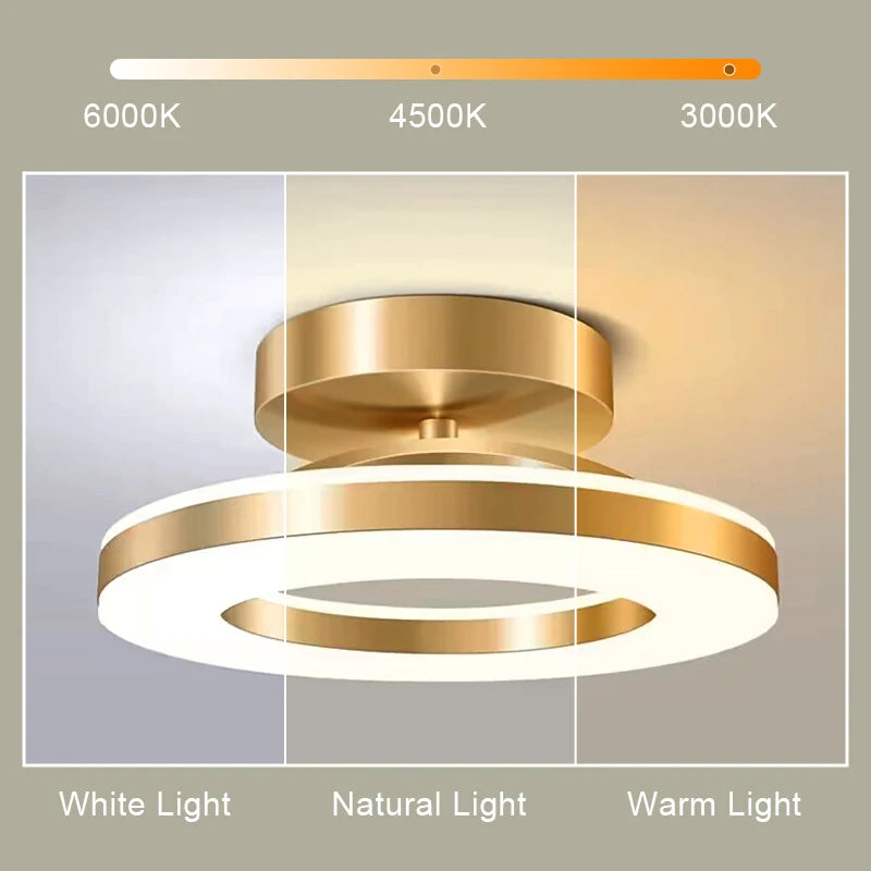 Modern LED Ceiling Lamp - Indoor Lighting for Bedroom, Dining Room, and Living Room