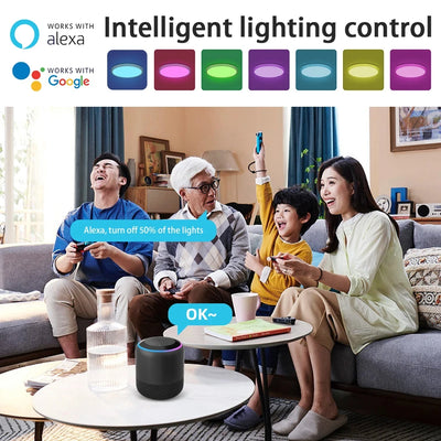 Smart Ceiling Lamp RGB WiFi Ceiling LED Lights Dimming With APP Control 110-265V Panel Lamp for Living Room Ceiling Light Indoor