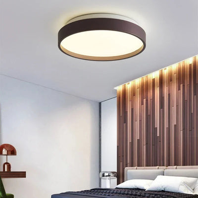 Modern LED Ceiling Lamps for Living Room, Dining Room, Bedroom, and Aisle