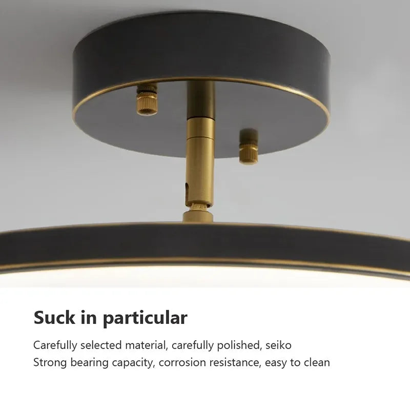 Modern Rotatable LED Ceiling Light - Black and Gold Finish for Bedroom, Living Room, Corridor, and More