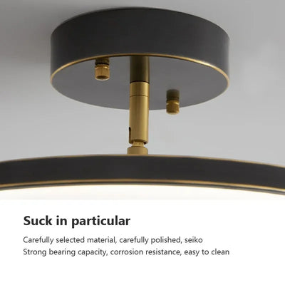 Modern Rotatable LED Ceiling Light - Black and Gold Finish for Bedroom, Living Room, Corridor, and More