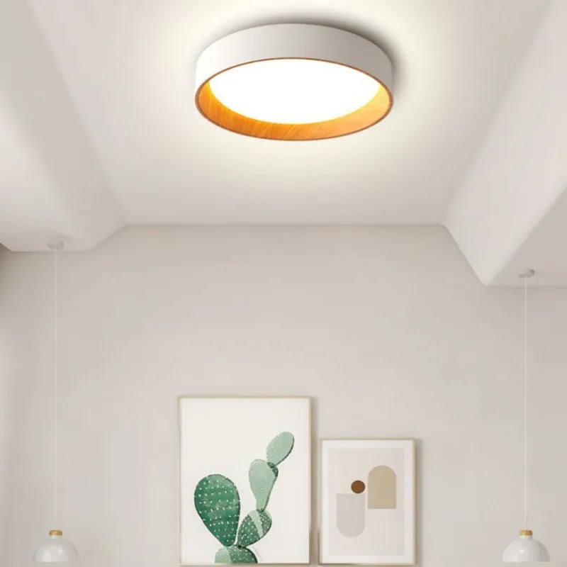 Modern Nordic Minimalism LED Ceiling Chandelier - Double Bedroom Lamp for Living Room, Dining Area, and Balcony