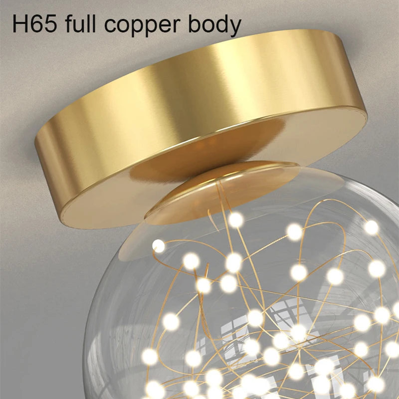 Nordic LED Ceiling Lamp for Indoor Lighting - Modern Smart Home Decoration