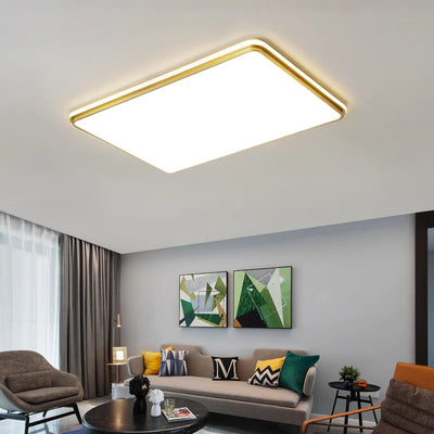 Nordic LED Golden Ceiling Light - Stylish Illumination for Living Room, Bedroom, Kitchen