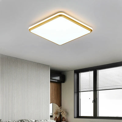 Nordic LED Golden Ceiling Light - Stylish Illumination for Living Room, Bedroom, Kitchen