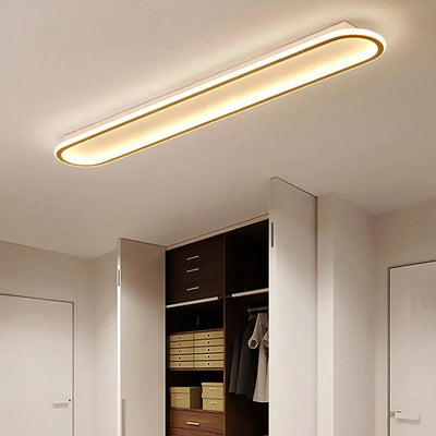 Modern LED Ceiling Lamps Lustre Chandeliers