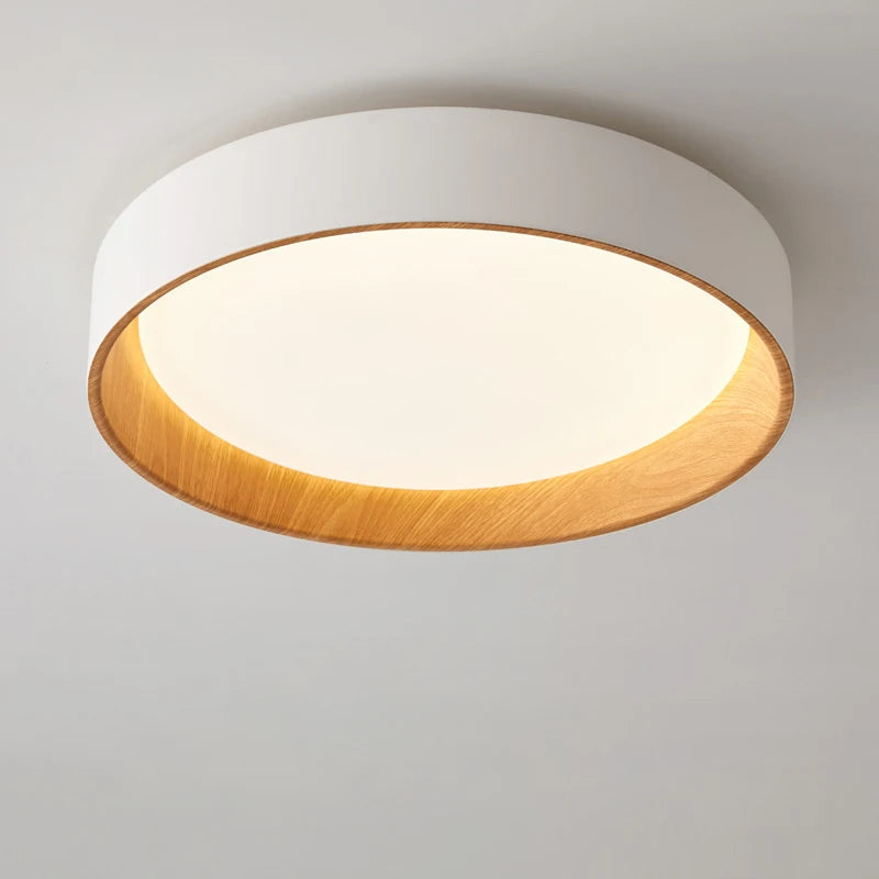 Modern Nordic Minimalism LED Ceiling Chandelier - Double Bedroom Lamp for Living Room, Dining Area, and Balcony