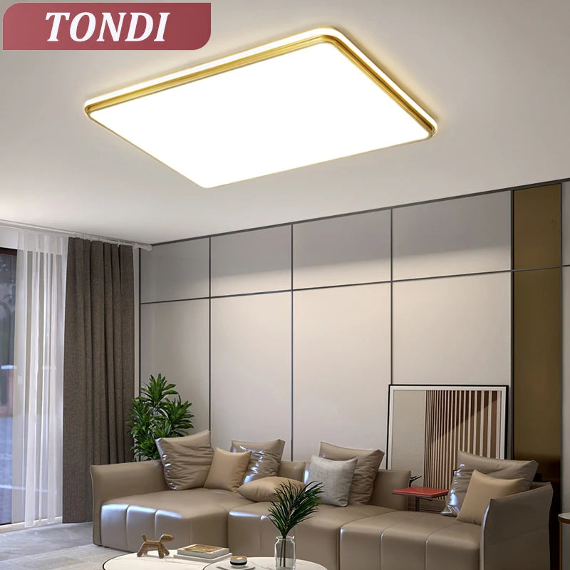 Nordic LED Golden Ceiling Light - Stylish Illumination for Living Room, Bedroom, Kitchen