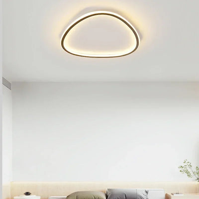 Modern LED Ceiling Lamp - Elegant Oval Design for Versatile Indoor Lighting