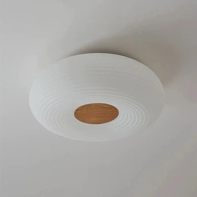 Modern Nordic LED Ceiling Lamp for Interior Lighting in Living Room, Bedroom, Bathroom, and More