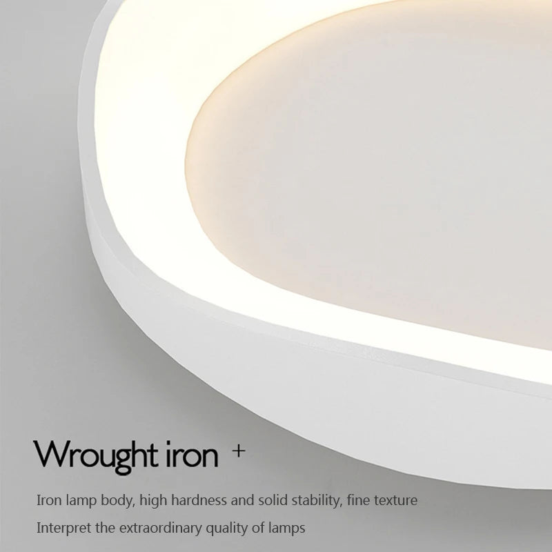 Modern LED Ceiling Light: Flower Shaped Lamps