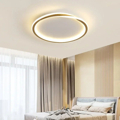 Modern LED Ceiling Lamp