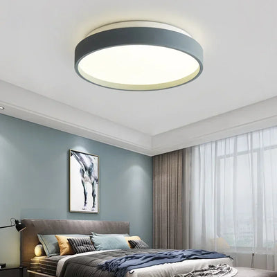 Modern LED Ceiling Lamps for Living Room, Dining Room, Bedroom, and Aisle